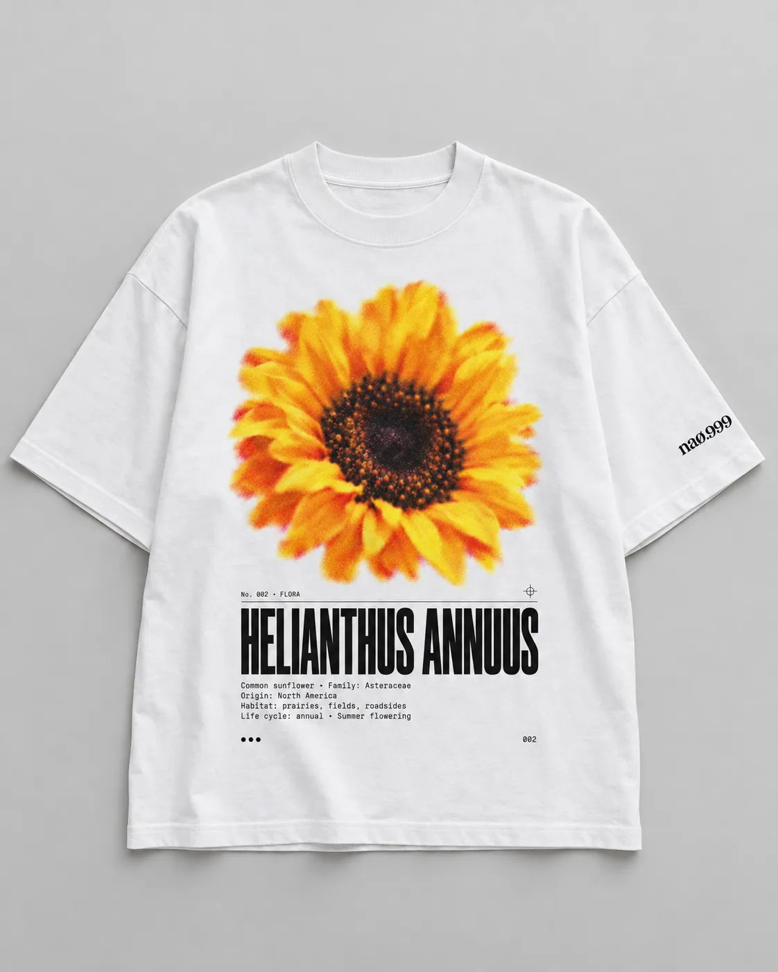 Helianthus annuus