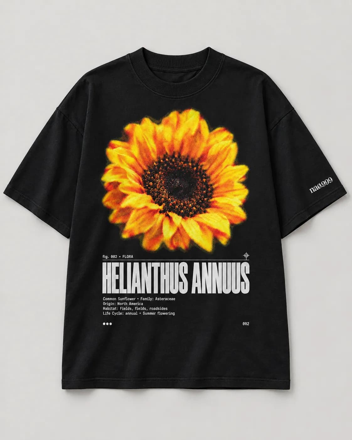 Helianthus annuus