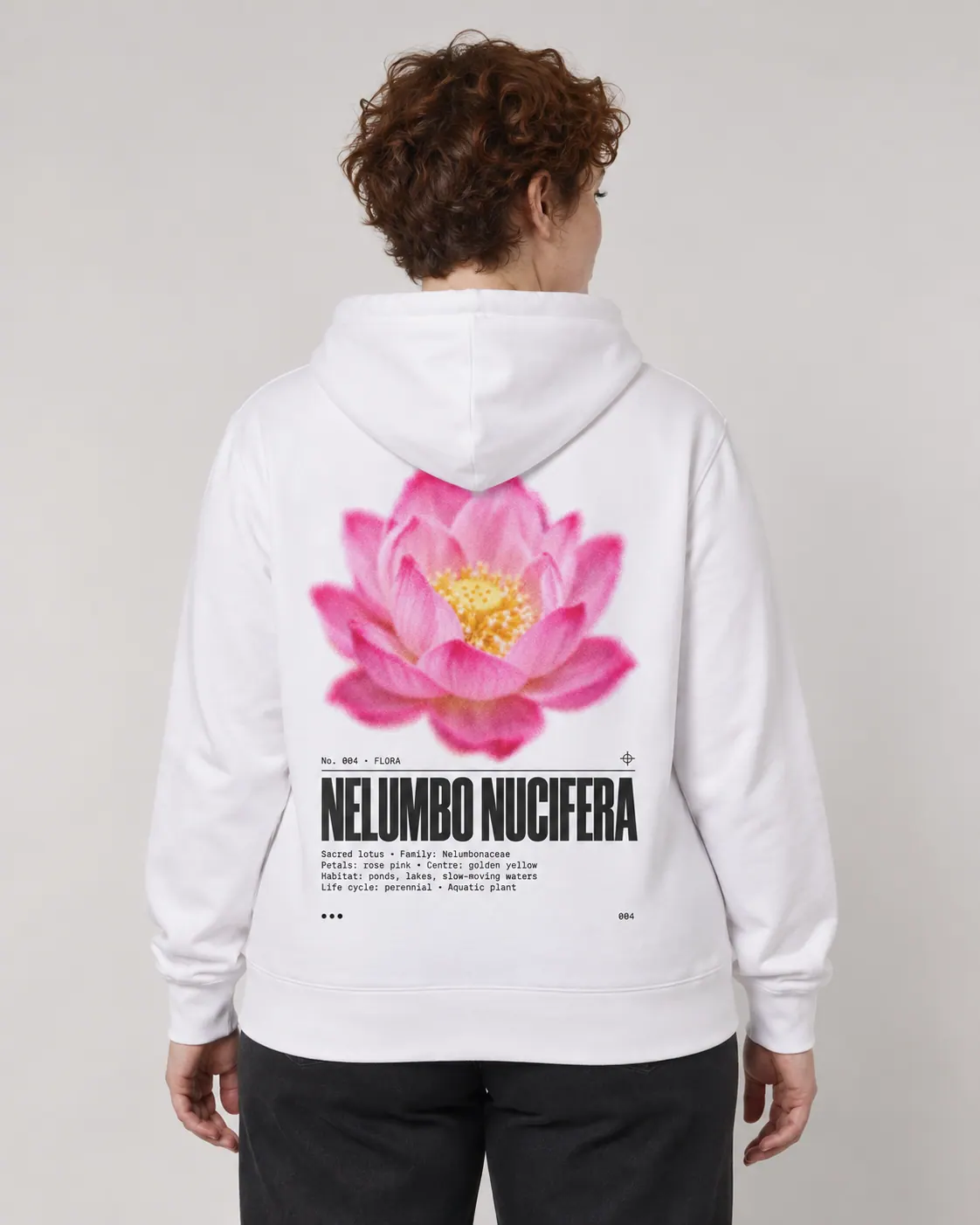Nelumbo nucifera porte