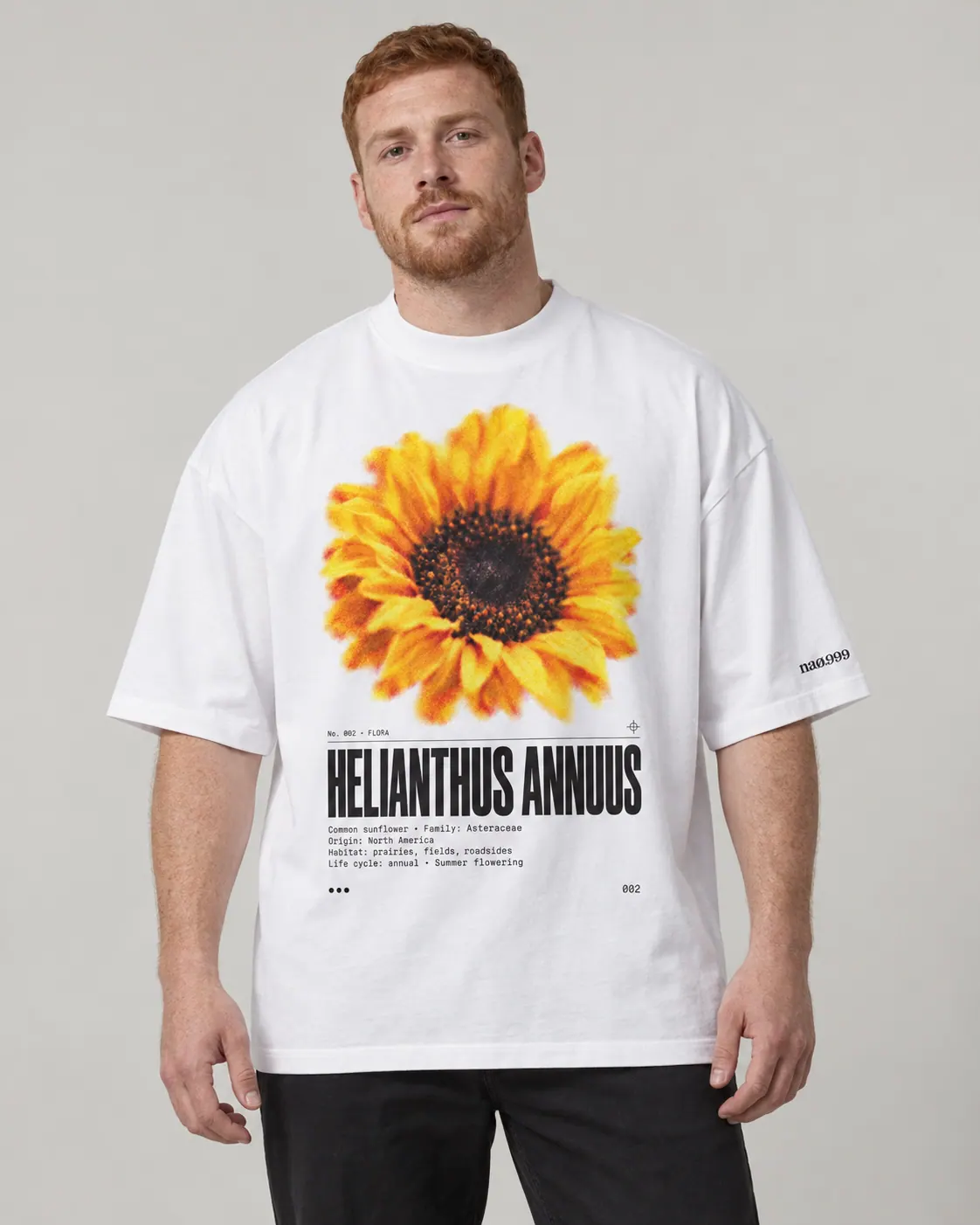 Helianthus annuus porte