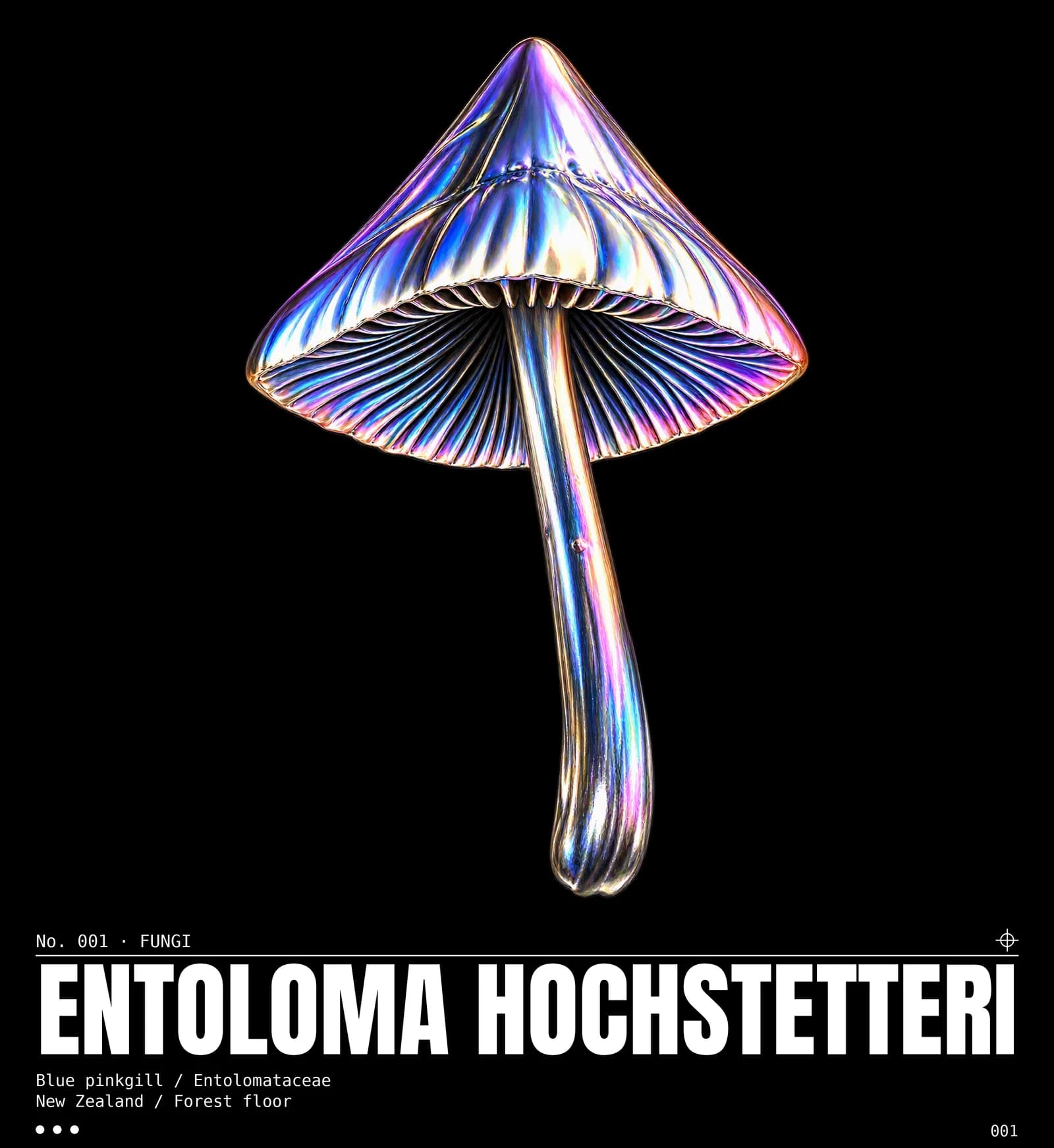 Visuel Entoloma hochstetteri