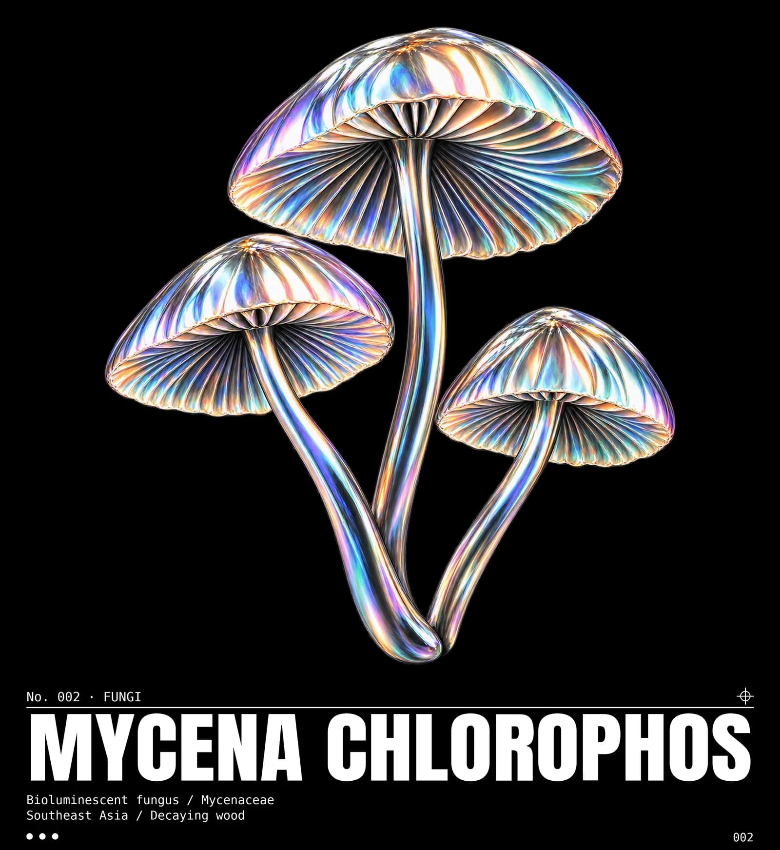 Visuel Mycena chlorophos