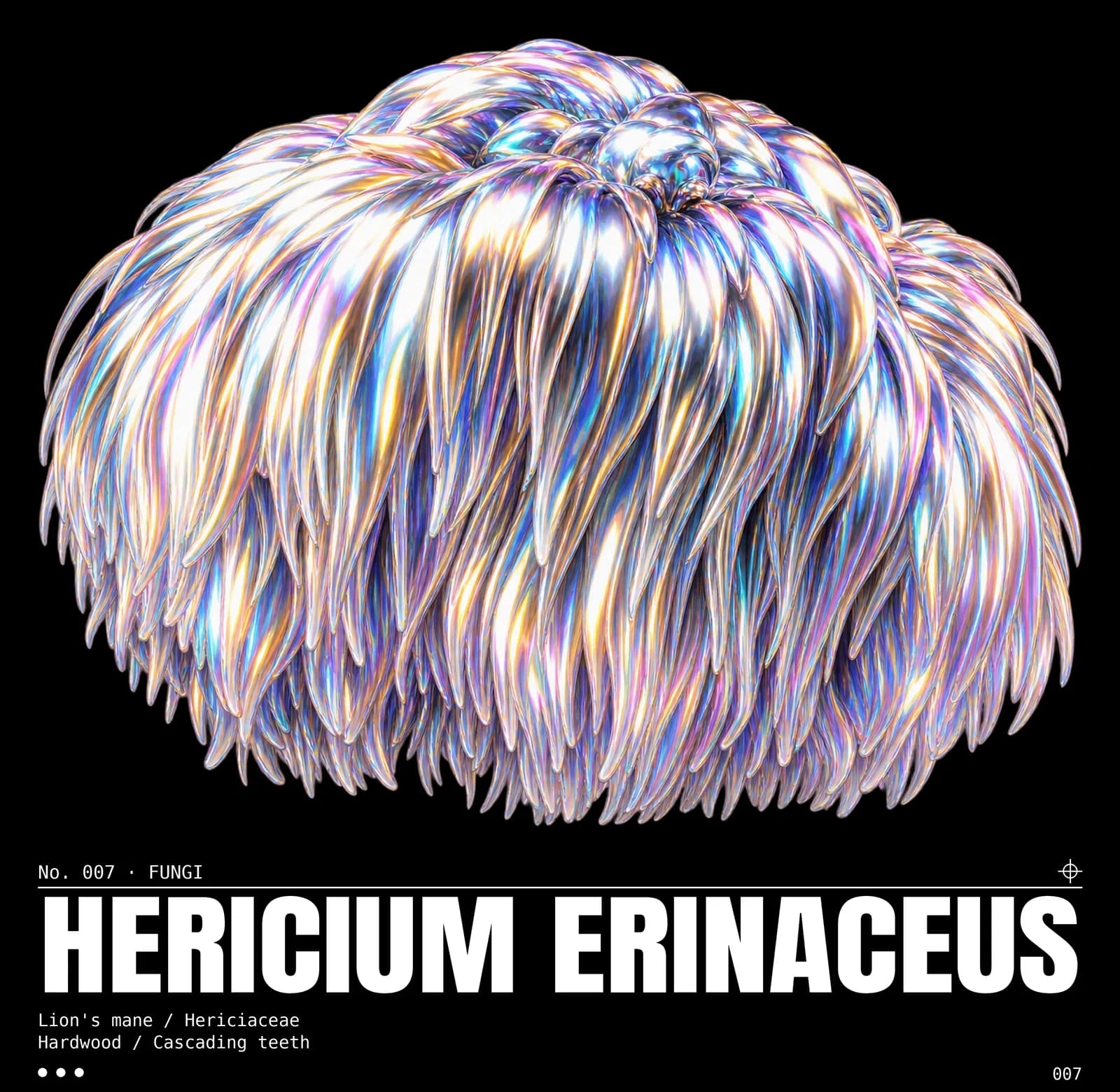 Visuel Hericium erinaceus