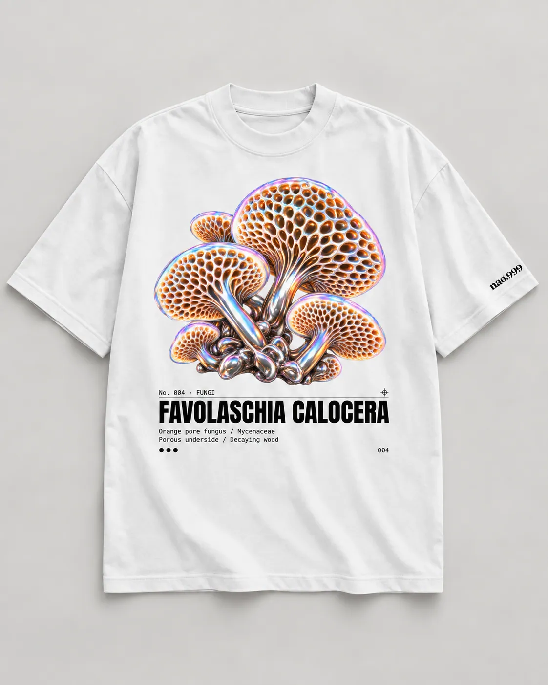 Favolaschia calocera