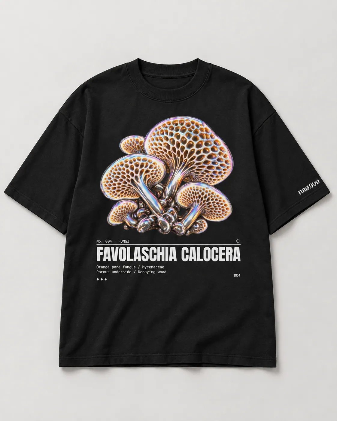 Favolaschia calocera